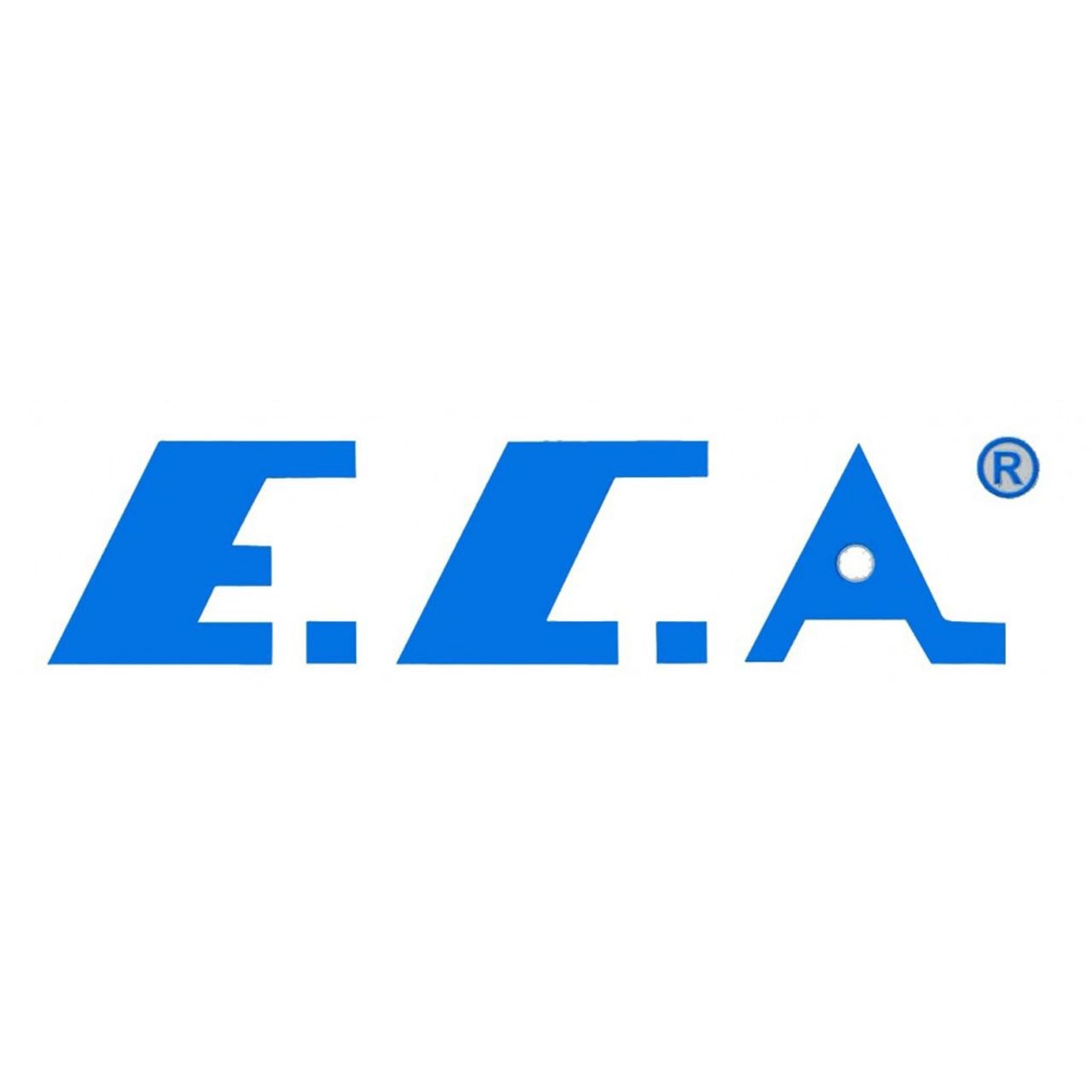 Газовые котлы E.C.A.