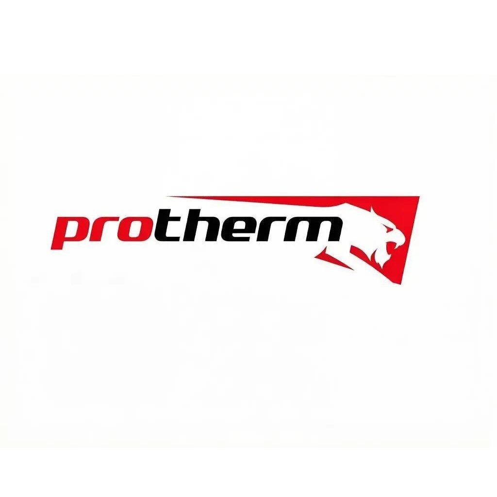 Газовые котлы Protherm