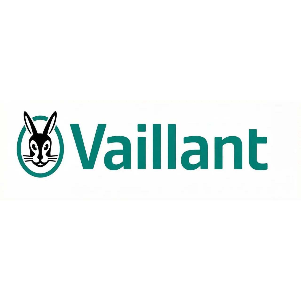 Газовые котлы Vaillant